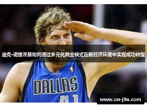 迪克·诺维茨基如何通过多元化商业模式在新经济环境中实现成功转型