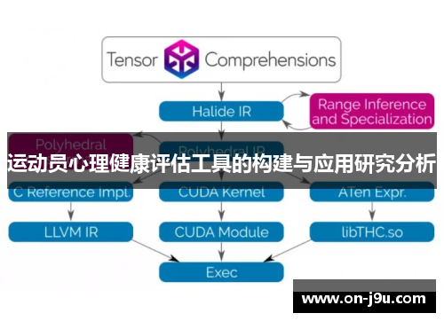 运动员心理健康评估工具的构建与应用研究分析