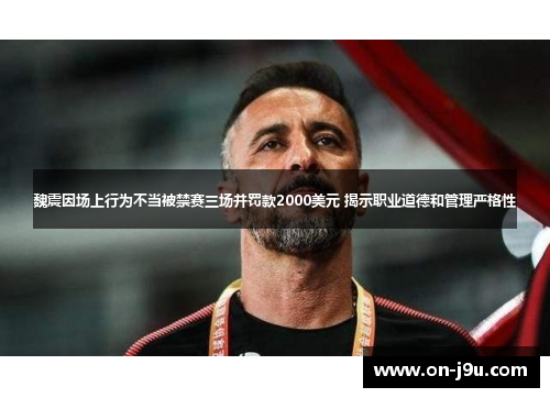 魏震因场上行为不当被禁赛三场并罚款2000美元 揭示职业道德和管理严格性