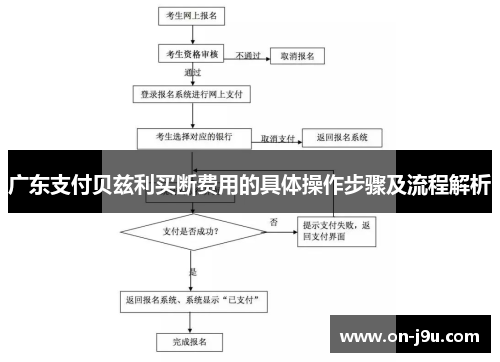 广东支付贝兹利买断费用的具体操作步骤及流程解析