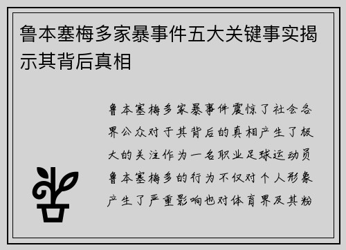鲁本塞梅多家暴事件五大关键事实揭示其背后真相