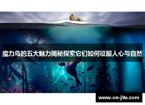 魔力鸟的五大魅力揭秘探索它们如何征服人心与自然
