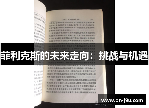 菲利克斯的未来走向：挑战与机遇